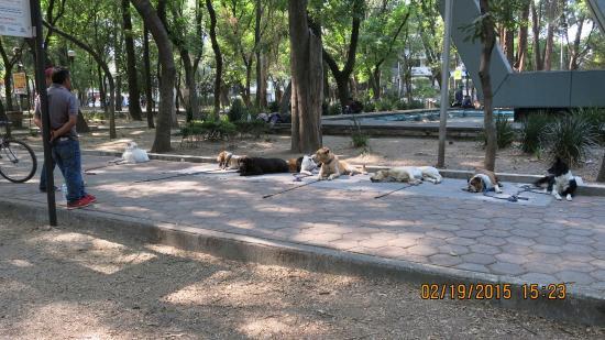 Parque Chapultepec